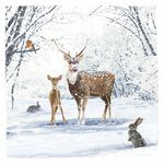 Stag & Fawn