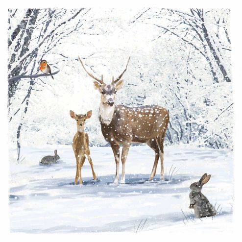 Stag & Fawn