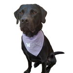 Dog 3